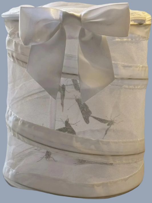60 Painted Lady Butterflies in an Elegant White Release Cage with Bow ~ Please read IMPORTANT INFO BELOW before placing an order.